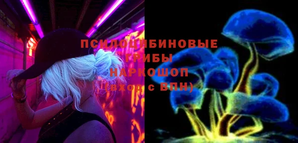 соль ск Алзамай