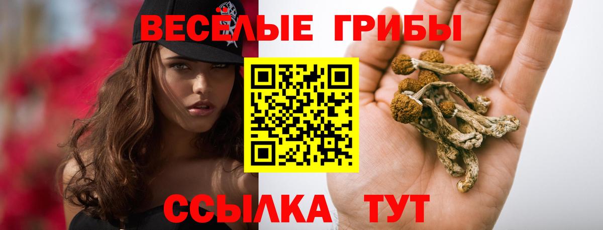 Псилоцибиновые грибы Magic Shrooms Кириши