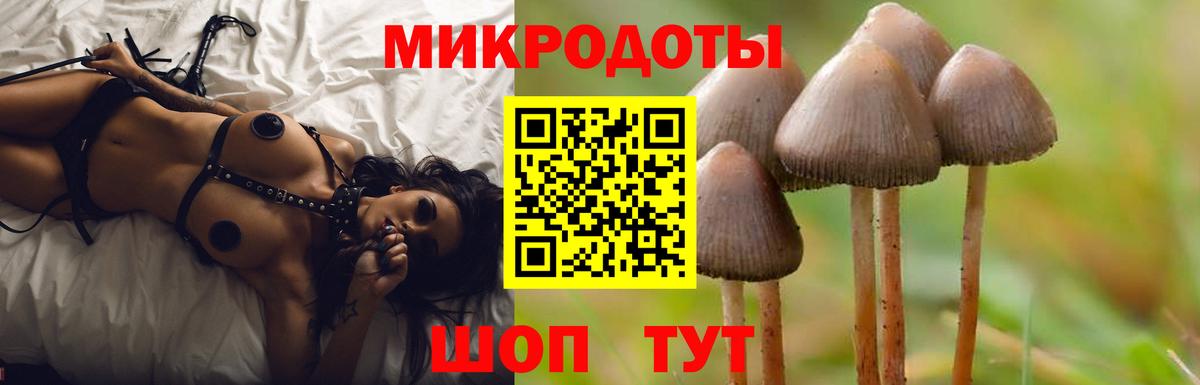 Кириши  Псилоцибиновые грибы мухоморы  Вход с VPN  Галлюциногенные грибы MAGIC MUSHROOMS 